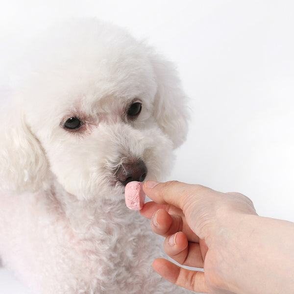 Freeze Dried Organic Yogurt With Fruits