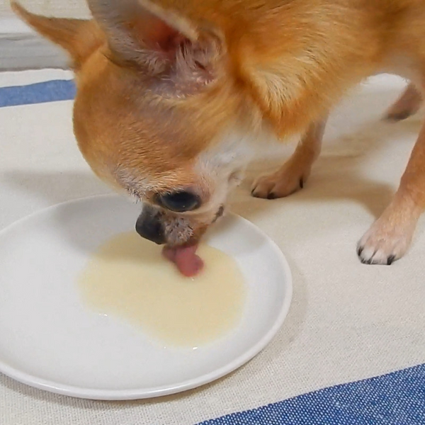 Minori Pork Bone Broth