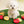 Pocket Fruits Nosework Toy