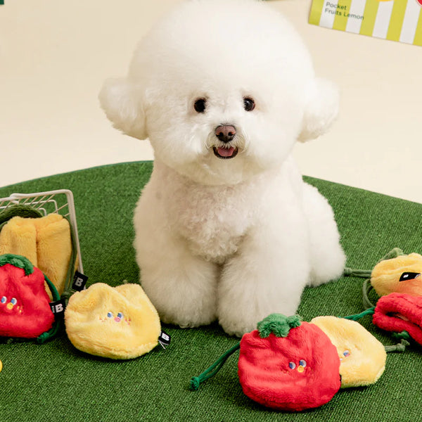 Pocket Fruits Nosework Toy