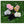 2-Piece Bubble Snake Cat Wand & Mouse Toy Set