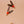 Spinning Sparrow Duo Cat Fishing Rod Refill Toy
