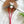 Christmas Bear Cat Teaser Refill Toy