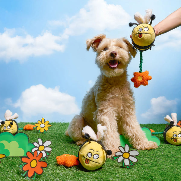 Bee Happy Nosework Toy