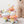 Clown Nosework Toy