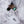 Peacock Moth 3-Wing Cat Teaser Wand Refill Toy