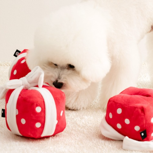 Gift Box Nose Work Toy