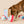 Fish Express Nosework Toy