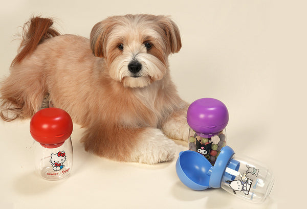 Sanrio One-Touch Water Bottle