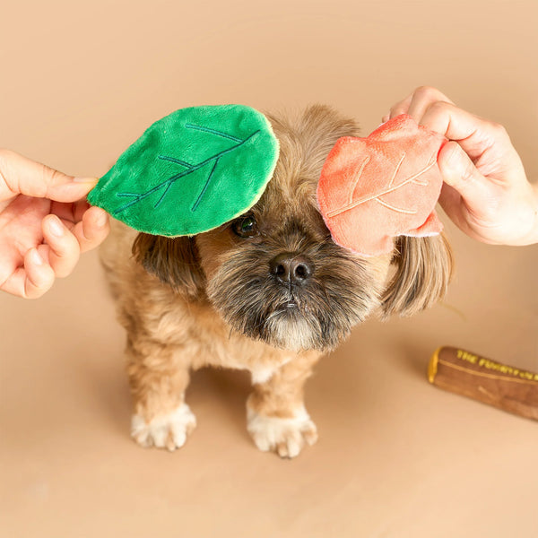 Branch Manager’s Branch Nosework Toy