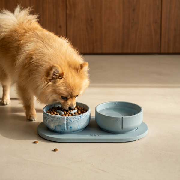 Classic Bowl Bluebird Marble (Medium)