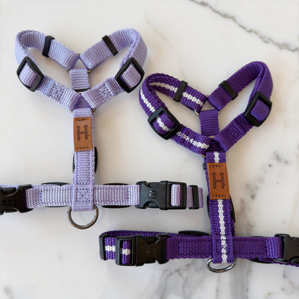 Lavender Harness