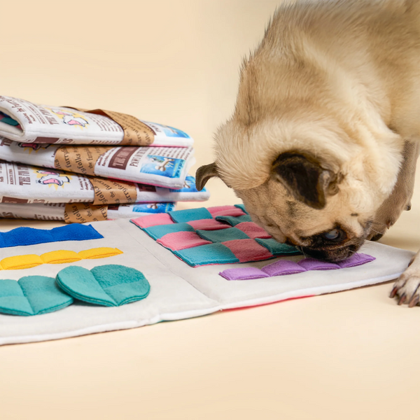 Newspaper Issue No.2 Nosework Toy