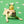 Bee Happy Nosework Toy