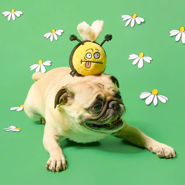 Bee Happy Nosework Toy