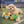 Peanuts Grip Rugby Ball Toy