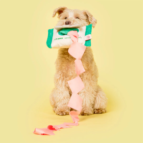Doggo Wipe Nosework Toy