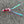 Pink Hamster Bug Cat Teaser Refill Toy