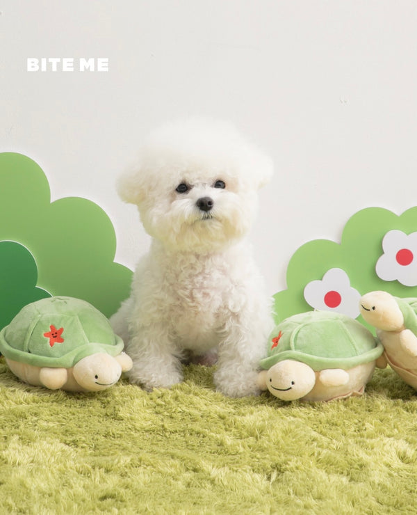 [PRE ORDER] Jumping Boogie Auto-Ball Toy