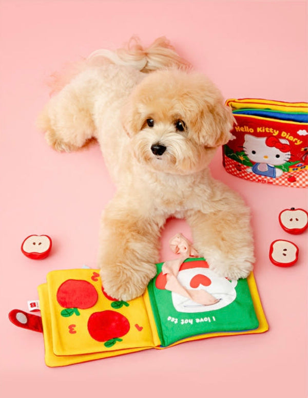 [PRE ORDER] Hello Kitty Nosework Play Book