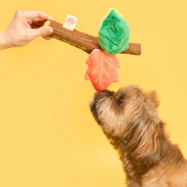Branch Manager’s Branch Nosework Toy