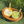 DOG SI RAK SNACK BOWL