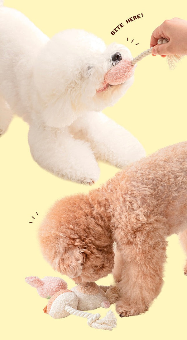 [PRE ORDER] Animal Rattle Toy