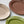 [PRE ORDER] Oval Dish