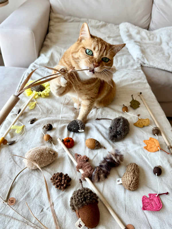 [PRE ORDER] Wheat Rod Cat Toy