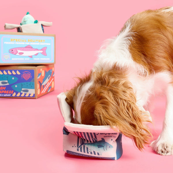 Fish Express Nosework Toy