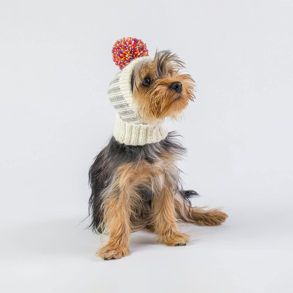 Rainbow Alpaca Dog Hat