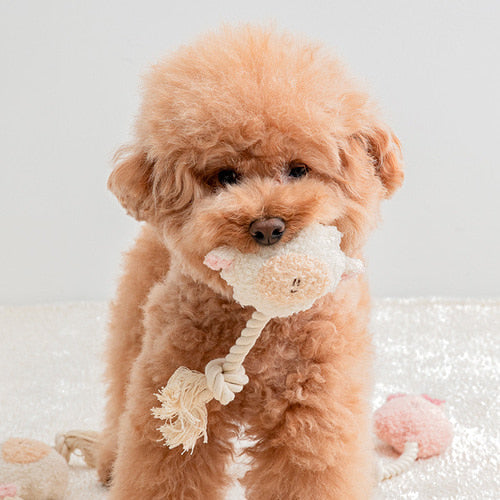 [PRE ORDER] Animal Rattle Toy