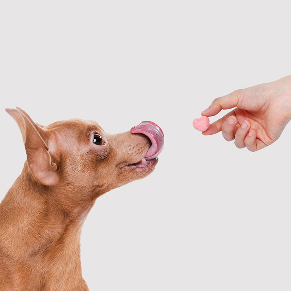 Freeze Dried Organic Yogurt With Fruits