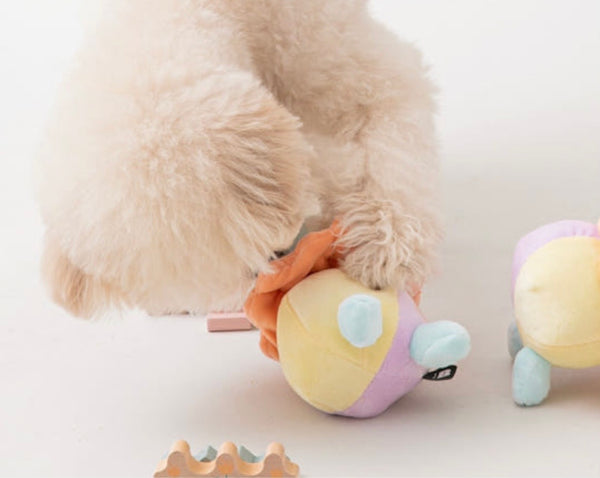 Clown Nosework Toy