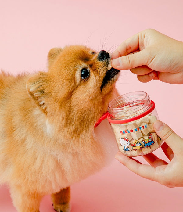 [PRE ORDER] Hello Kitty Mini Pet Snack Bottle