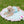 Gelato Cool Cushion