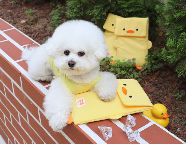 Duck Cooling Ice Pack Pouch