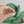 Cabbage Nosework Toy