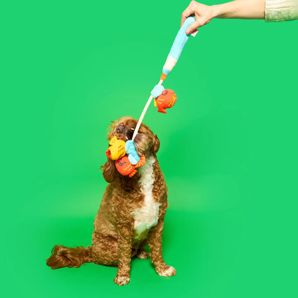 Fishing Nosework & Tug Toy