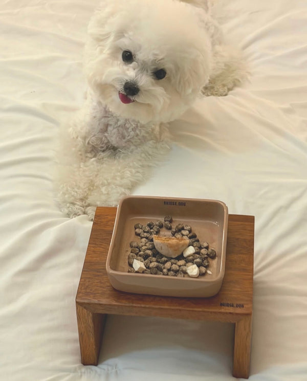 [PRE ORDER] Nemo Bowl - Mocha