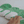 Cabbage Nosework Toy