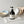 [PRE OEDER] BOWL BUBBLE
