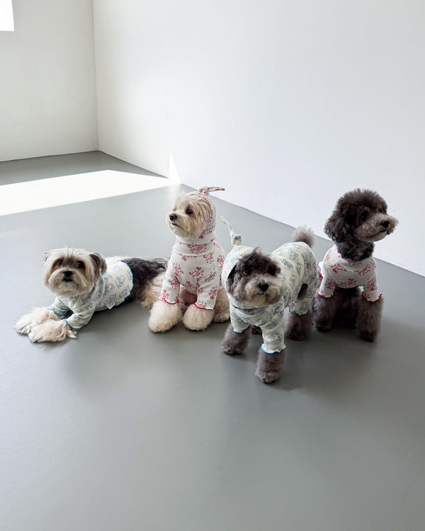 Sleeping Time Lettuce All-in-One