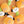 Halloween Pumpkin Puppy Stretchy Toy