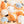 Little Ocean Friends Toy