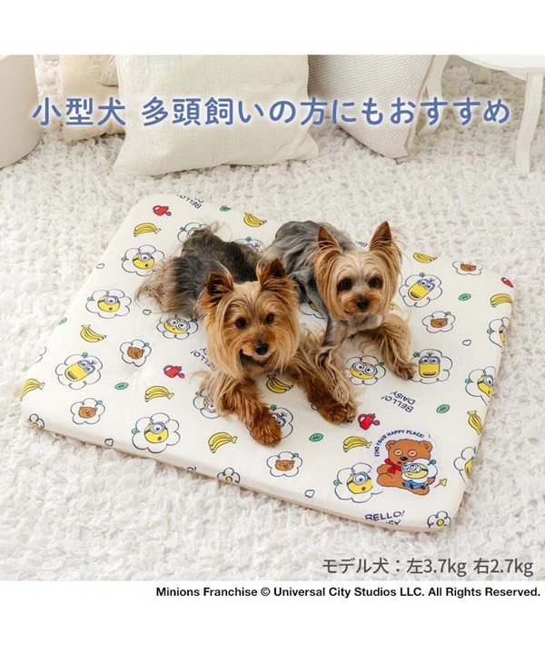 [PRE ORDER] Minions Mochitto Cool Mat