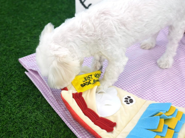Snoopy House Nose Work Playmat Toy