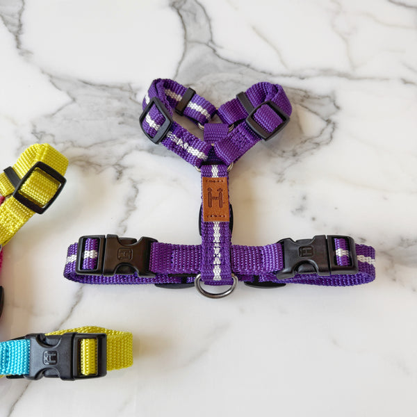 Florence Harness