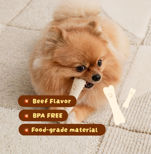 Buddy Bone Nylon Toy