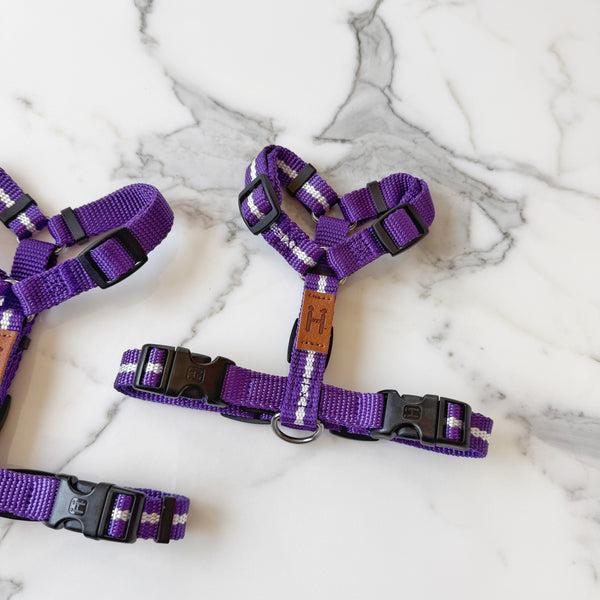 Florence Harness
